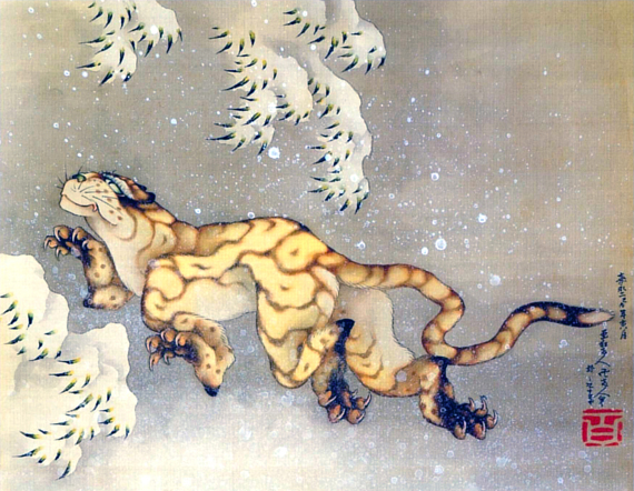 Tiger in the Snow