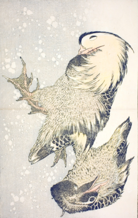 Two Waterfowl