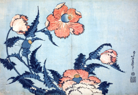 Poppies