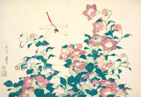 Bell-Flower and Dragonfly