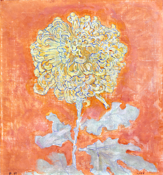 Chrysanthemum by Piet Mondrian, oil painting reproduction on canvas Chrysanthemum