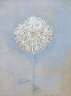 Chrysanthemum 1908