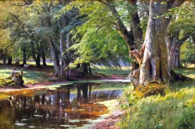 Forest landscape 1908
