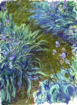 Irises by Claude Monet