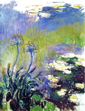 Agapanthus, 1914-17 by Claude Monet