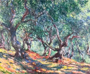 Olive Trees In Bordighera, 1884 by Claude Monet Olive Trees In Bordighera, 1884 by Claude Monet