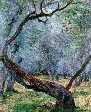 Olive Trees (Study), 1884 by Claude Monet Olive Trees (Study), 1884 by Claude Monet