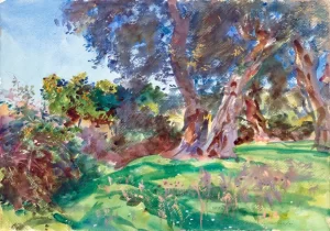 Olive Trees, Corfu 1909 by John Singer Sargent