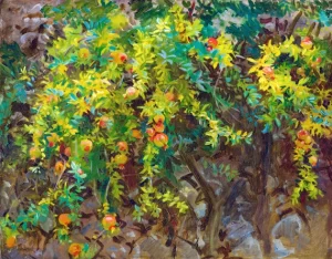 Pomegranates, Majorca 1908 by John Singer Sargent