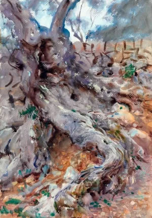 Olive Trunk by John Singer Sargent