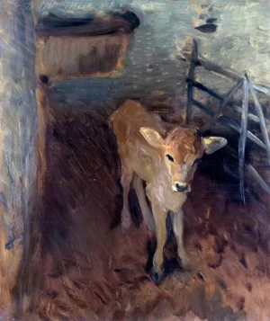 A Jersey Calf 1893 by John Singer Sargent A Jersey Calf 1893 by John Singer Sargent