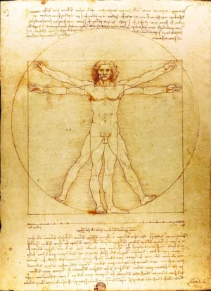 The Vitruvian Man by Leonardo Da Vinci