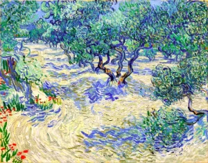 Olive Orchard 1889 by Vincent Van Gogh Olive Orchard 1889 by Vincent Van Gogh