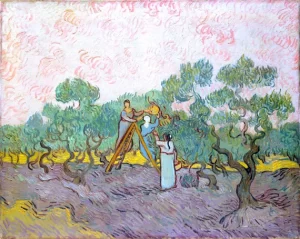 Women Picking Olives by Vincent Van Gogh Women Picking Olives by Vincent Van Gogh