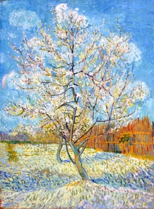 The Pink Peach Tree 1888 by Vincent Van Gogh The Pink Peach Tree 1888 by Vincent Van Gogh