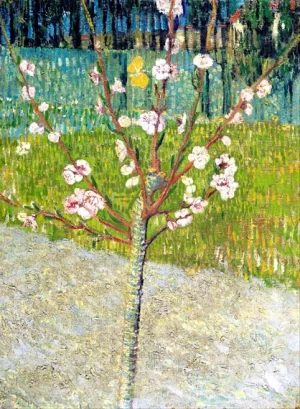 Almond Tree In Blossom by Vincent Van Gogh Almond Tree In Blossom by Vincent Van Gogh