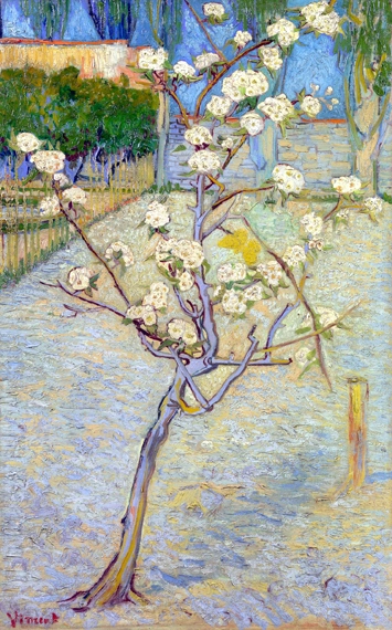 Small Pear Tree In Blossom 1888 by Vincent Van Gogh, oil painting reproduction on canvas Small Pear Tree In Blossom 1888 by Vincent Van Gogh