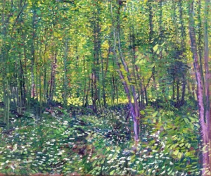 Trees And Undergrowth 1887 by Vincent Van Gogh Trees And Undergrowth 1887 by Vincent Van Gogh