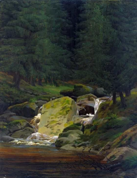 Fir Forest with a Waterfall 1828 by Caspar David Friedrich Fir Forest with a Waterfall 1828 by Caspar David Friedrich