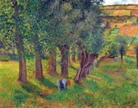 Le Chou à Pontoise 1882 by Camille Pissarro