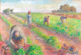 The Beet Harvest, 1881 by Camille Pissarro The Beet Harvest, 1881 by Camille Pissarro
