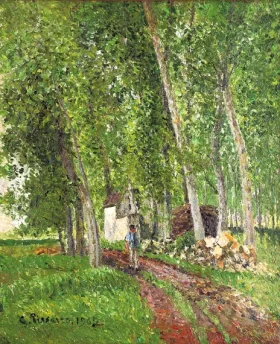 Sous-bois à Moret 1902 by Camille Pissarro Sous-bois à Moret 1902 by Camille Pissarro
