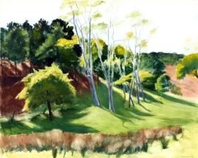 Spindley Locusts by Edward Hopper