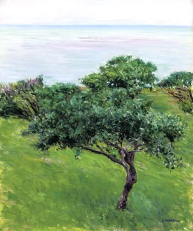 Pommiers Au Bord De La Mer, Trouville 1880 by Gustave Caillebotte Pommiers Au Bord De La Mer, Trouville 1880 by Gustave Caillebotte