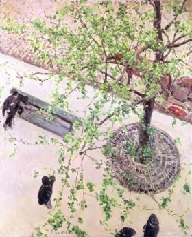 The Boulevard Seen from Above, 1880 by Gustave Caillebotte The Boulevard Seen from Above, 1880 by Gustave Caillebotte
