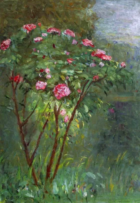 Rose Bush in Flower by Gustave Caillebotte Rose Bush in Flower by Gustave Caillebotte