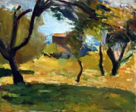 Paysage de Corse by Henri Matisse