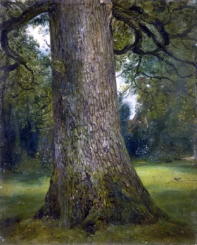 Study of the Trunk of an Elm Tree by John Constable