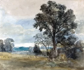 Landscape at East Bergholt 1805 by John Constable