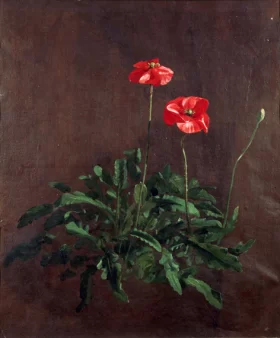 Study of poppies by John Constable Study of poppies by John Constable