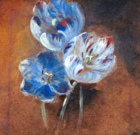 Study of Three Parrot Tulips 1832 by John Constable