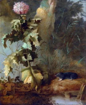An Egyptian Poppy and a Water Mole 1812 by John Constable An Egyptian Poppy and a Water Mole 1812 by John Constable
