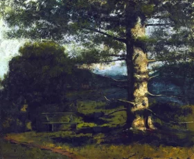 Cedar Tree at Hauteville 1868 by Gustave Courbet