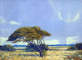 Approaching Storm, Highveld by Jacobus Hendrik Pierneef
