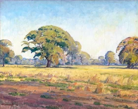 Landscape with Trees by Jacobus Hendrik Pierneef Landscape with Trees by Jacobus Hendrik Pierneef