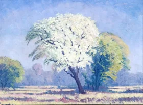 Wild Pear Tree in Blossom, Bosveld, Northern Transvaal by Jacobus Hendrik Pierneef Wild Pear Tree in Blossom, Bosveld, Northern Transvaal by Jacobus Hendrik Pierneef