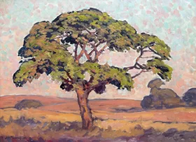 Wilde Vye Boom, Sweetwaters, Louis Trichardt by Jacobus Hendrik Pierneef Wilde Vye Boom, Sweetwaters, Louis Trichardt by Jacobus Hendrik Pierneef