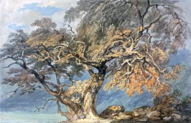 A Great Tree 1796 by J.M.W. Turner A Great Tree 1796 by J.M.W. Turner