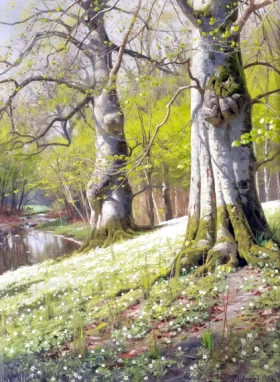 Anemones - A spring morning, 1901 by Peder Mørk Mønsted Anemones - A spring morning, 1901 by Peder Mørk Mønsted