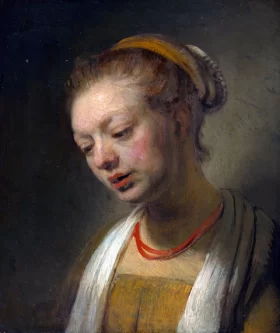 Young Woman with a Red Necklace 1645 by Rembrandt Young Woman with a Red Necklace 1645 by Rembrandt