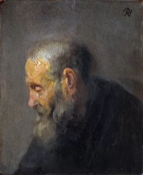 Study of an Old Man in Profile 1630 by Rembrandt Study of an Old Man in Profile 1630 by Rembrandt