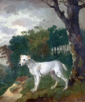 Bumper, a Bull Terrier 1745 by Thomas Gainsborough
