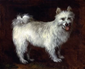 Spitz Dog 1765 by Thomas Gainsborough