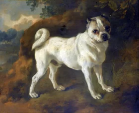 A Pug by Thomas Gainsborough