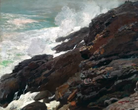 High Cliff, Coast of Maine, 1894 by Winslow Homer