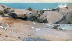 Rocky Coast and Gulls 1869 by Winslow Homer Rocky Coast and Gulls 1869 by Winslow Homer